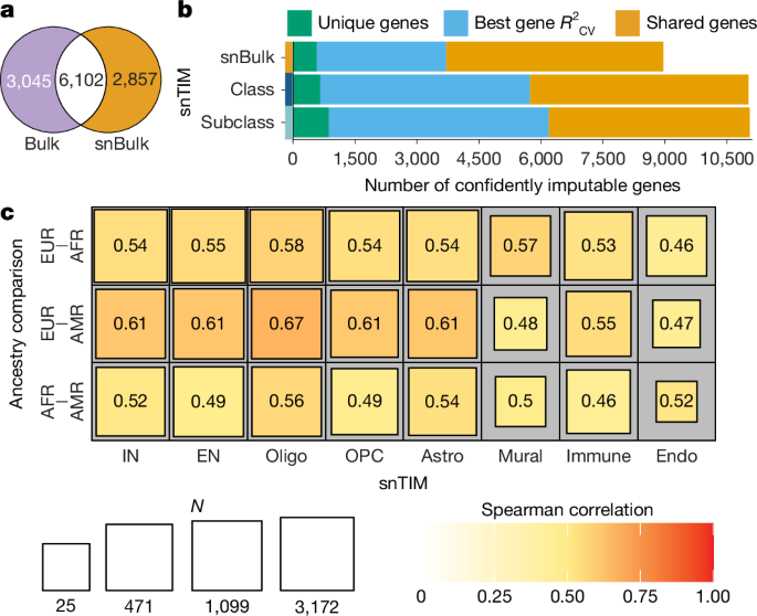 Fig. 1: snTIM performance across cell types and ancestries.