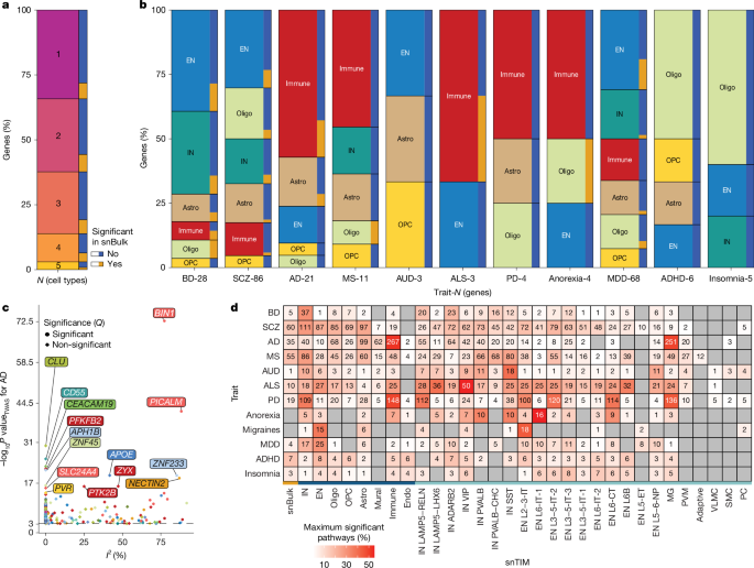 Fig. 3: Cell-type specificity in snTWAS.