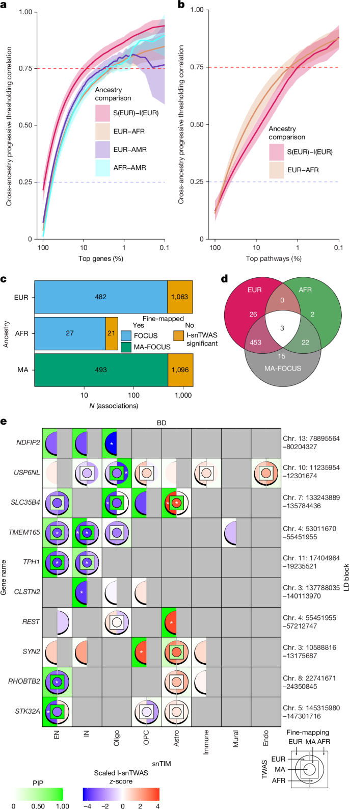 Fig. 5: Cross-ancestry snTWAS identify similar GTAs across ancestries.