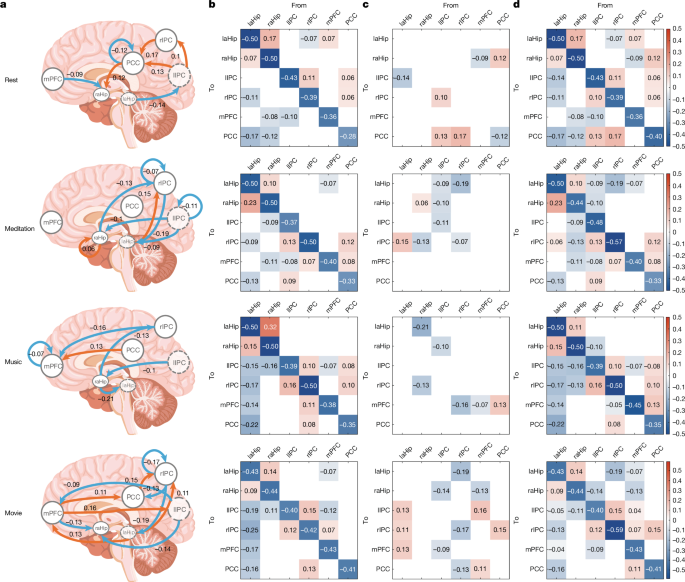 Fig. 5: Model of effective connectivity changes from baseline (no psilocybin) to psilocybin.