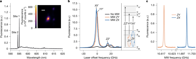 Fluorescence spectra, spin-resolved excitation resonances and microwave optically detected magnetic resonance of carbene ensembles.