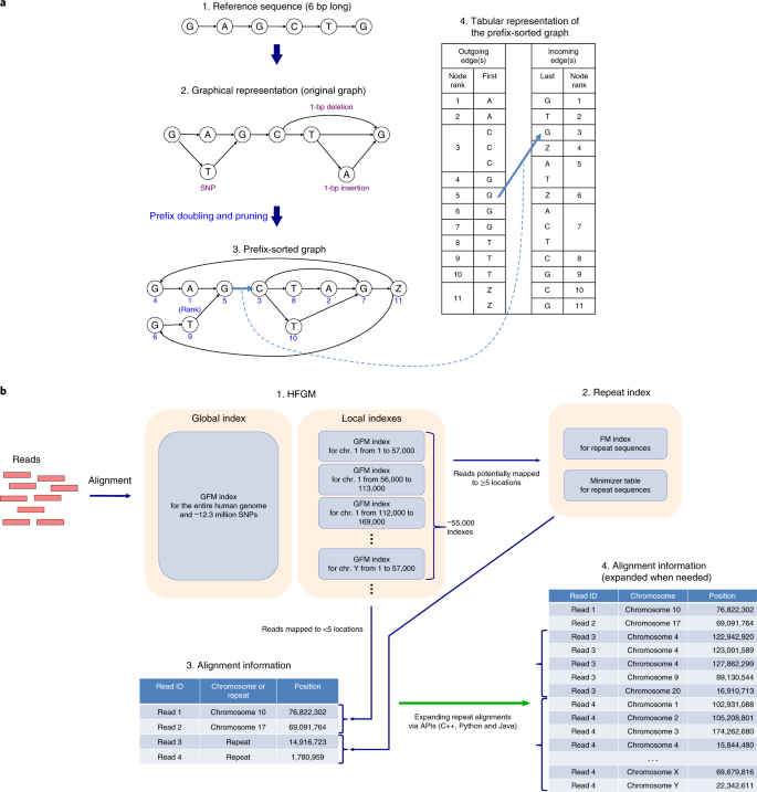 Graph Based Genome Alignment And Genotyping With Hisat2 And Hisat Genotype Nature Biotechnology