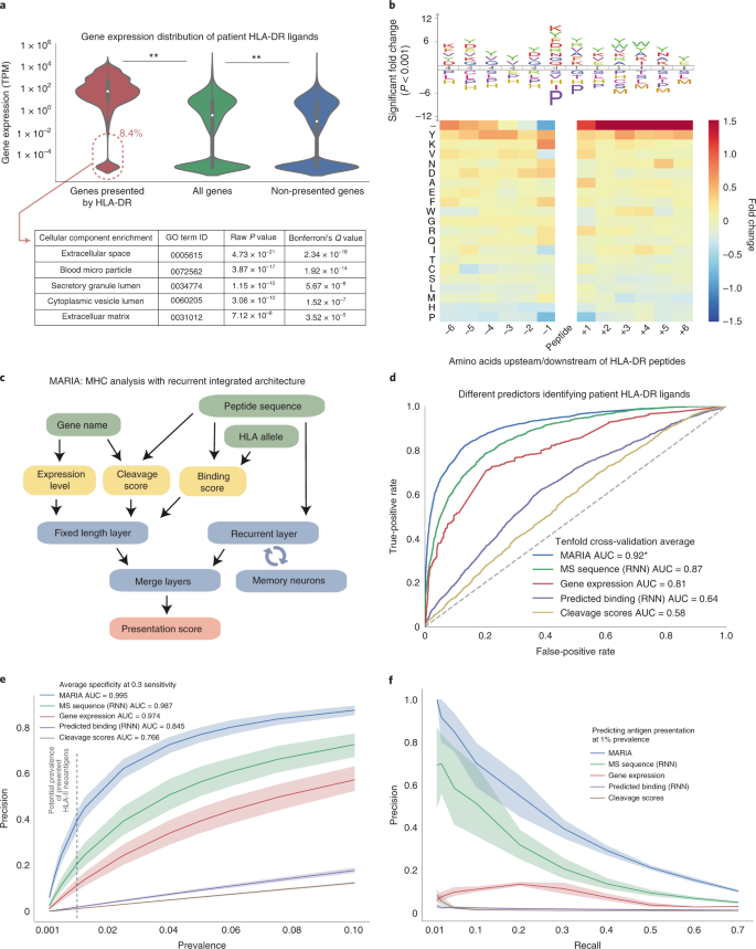 Predicting HLA class II antigen presentation through integrated deep  learning | Nature Biotechnology