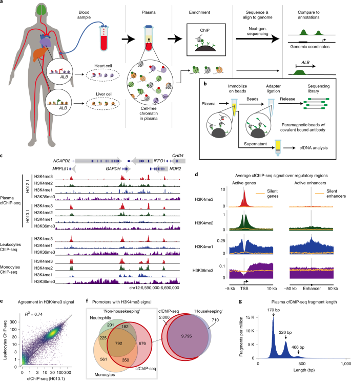 ChIP-seq of plasma cell-free nucleosomes identifies gene expression  programs of the cells of origin | Nature Biotechnology