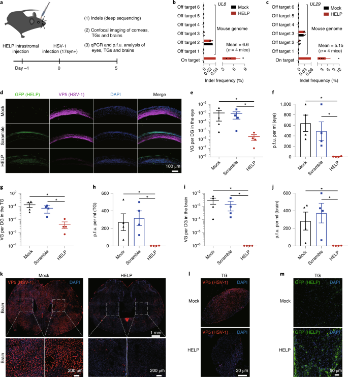 targeting herpes simplex virus with