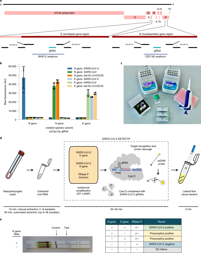 Diagnostics and analysis of SARS-CoV-2: current status, recent