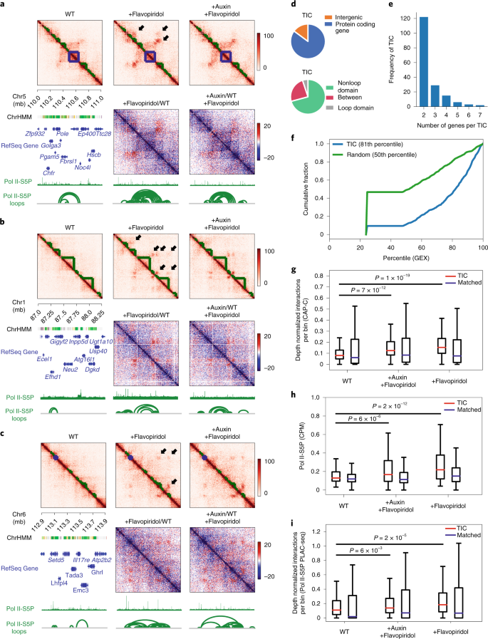 Direct Dna Crosslinking With Cap C Uncovers Transcription Dependent Chromatin Organization At High Resolution Nature Biotechnology