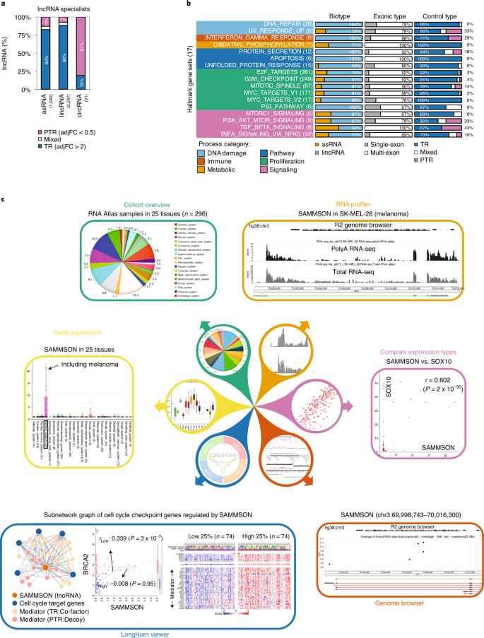The Rna Atlas Expands The Catalog Of Human Non Coding Rnas Nature Biotechnology