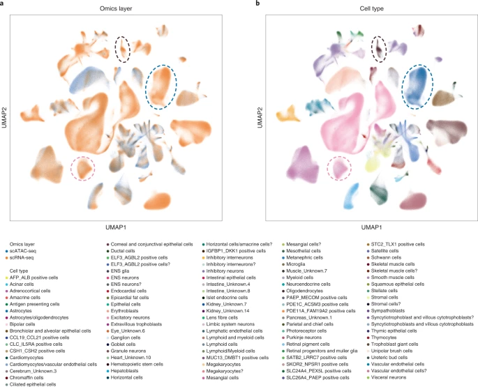 Fig. 5: Integration of a multi-omics human cell atlas.
