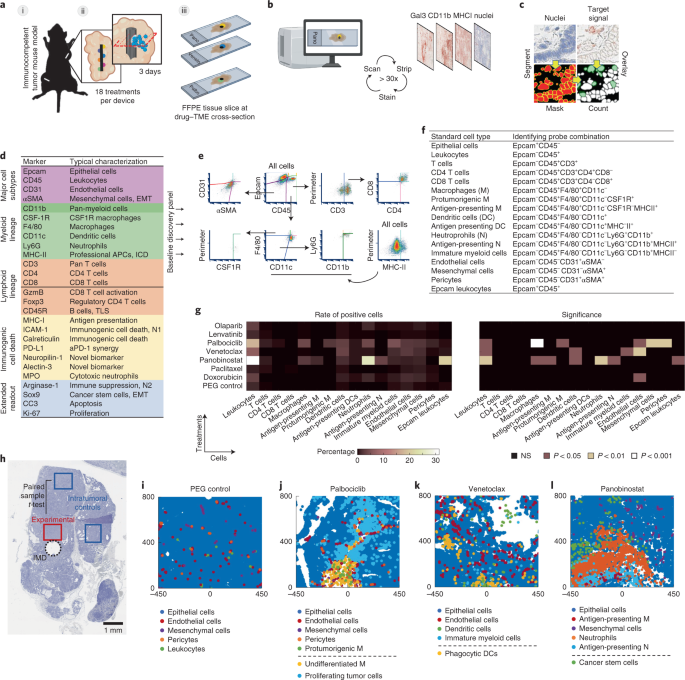 Fig. 1: MIMA components and testing of locally induced drug effects on TME.