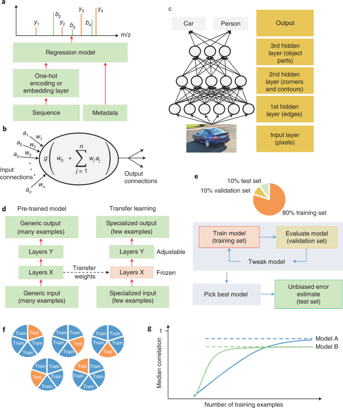 Mass Spectral Reference Libraries: An Ever-Expanding Resource for