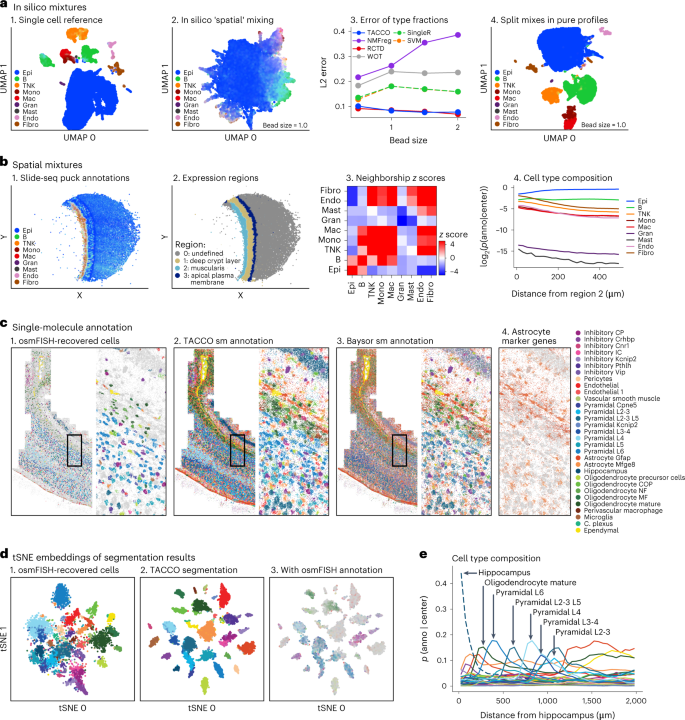 Fig. 2: TACCO compositional annotation, cell segmentation and analysis of spatial expression data.