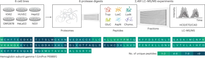 Deep proteome sequencing