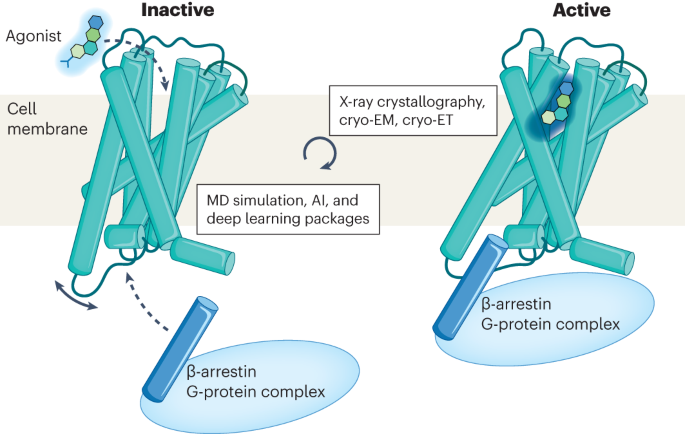 Computational drug development for membrane protein targets 