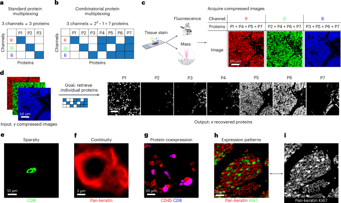 High-dimensional imaging using combinatorial channel multiplexing and ...
