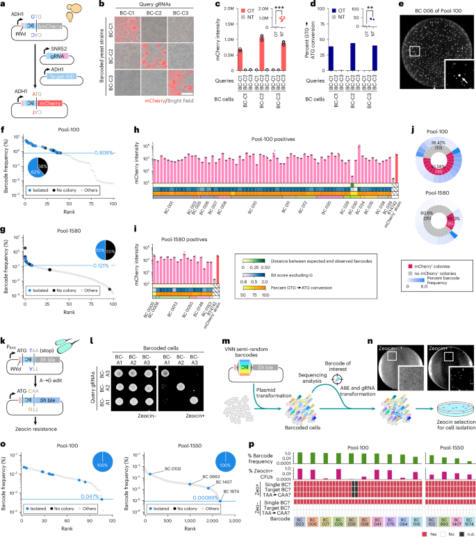 Fig. 5: Yeast and Bacterial CloneSelect.