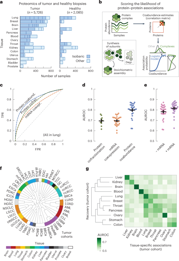 A tissue-specific atlas of protein–protein associations enables prioritization of candidate disease genes – Nature Biotechnology A tissue-specific atlas of protein–protein associations enables prioritization of candidate disease genes – Nature Biotechnology