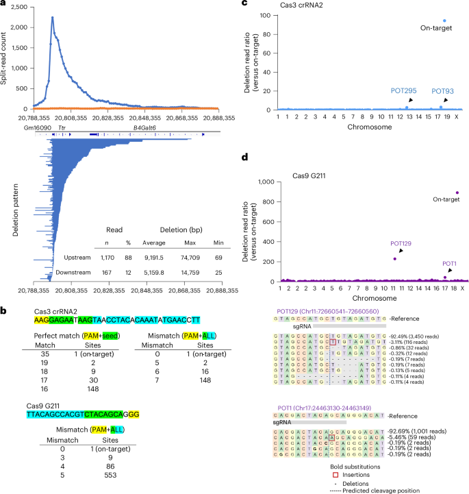 Fig. 2: Evaluation of off-target effects of selected crRNAs.