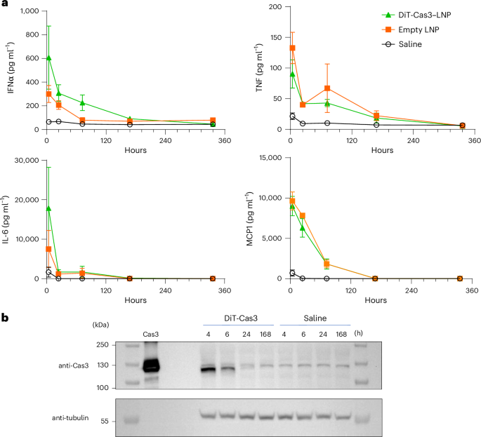 Fig. 4: Cytokine profiles and Cas3 residue after administration of Cas3–LNPs.