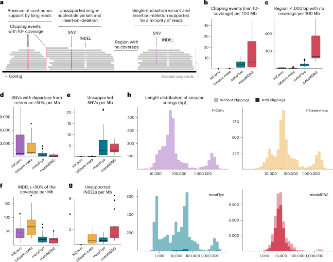 Troubleshooting common errors in assemblies of long-read metagenomes – Nature Biotechnology Troubleshooting common errors in assemblies of long-read metagenomes – Nature Biotechnology