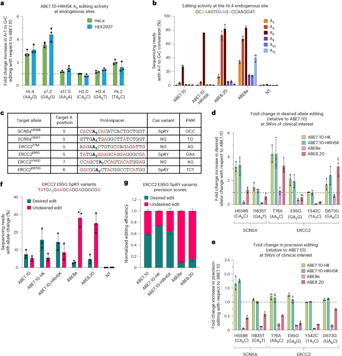Fig. 6: Further characterization of ABE7.10 multi-residue reversion editors.