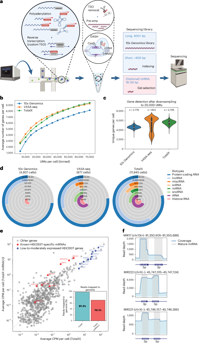Fig. 1: TotalX enables scalable detection of coding and noncoding RNAs, including miRNAs, in single cells.