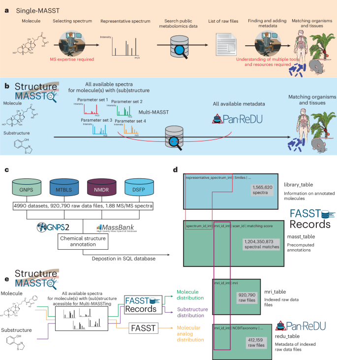 Fig. 1: The FASSTrecords/StructureMASST infrastructure.