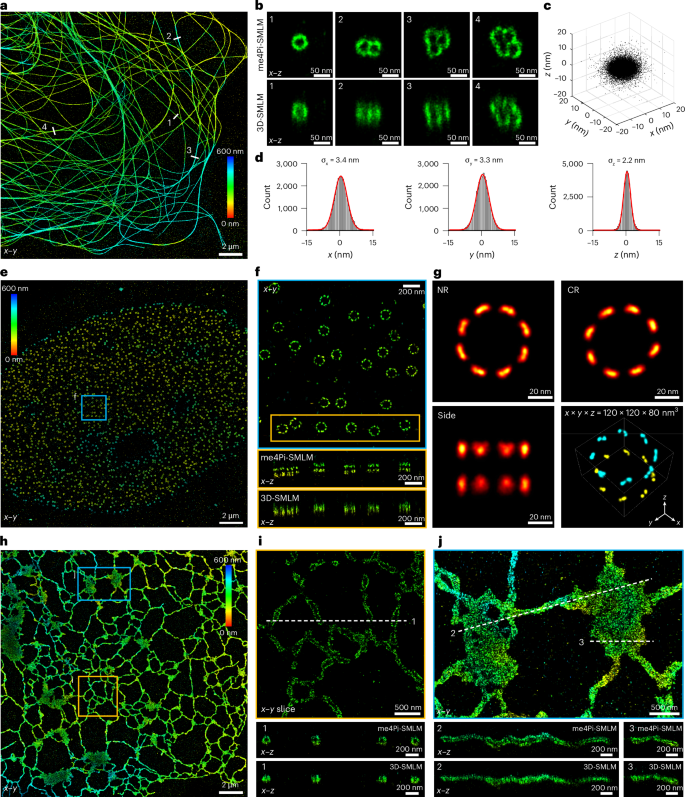 Fig. 2: me4Pi-SMLM resolved subcellular structures.