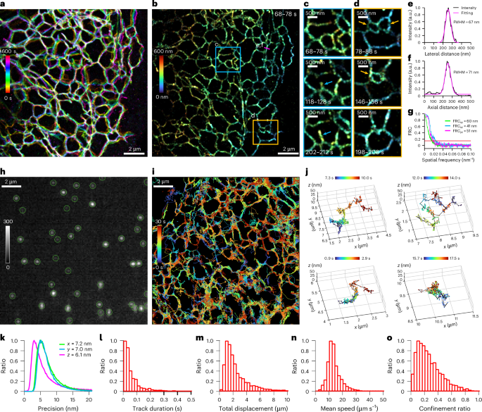Fig. 5: me4Pi-SMLM live-cell imaging.