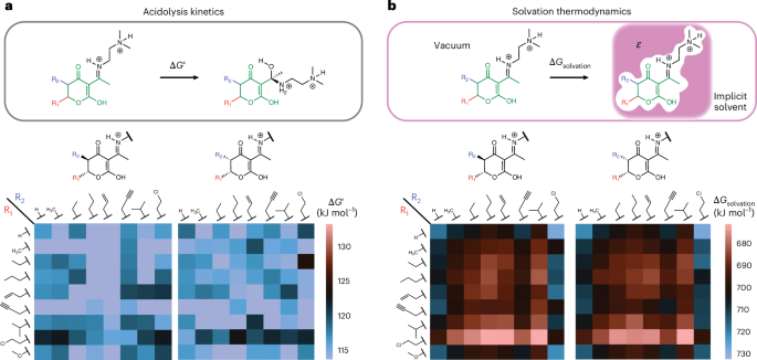 Fig. 3: Assessing effects of BKDL functionalization and stereochemistry on kinetics and thermodynamics of BKDL-PDK hydrolysis.