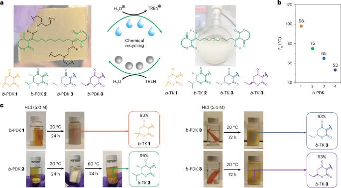 Fig. 4: Experimental validation of circular BKDL-based BKDL-PDKs.