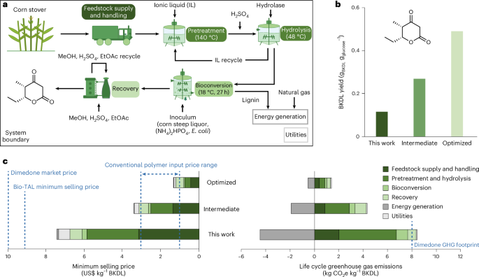 Fig. 5: Systems analysis of BKDL bioproduction at commercial scale.