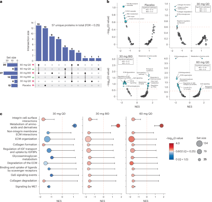 Fig. 6: Rentosertib treatment shifts ECM remodeling and signaling activities.