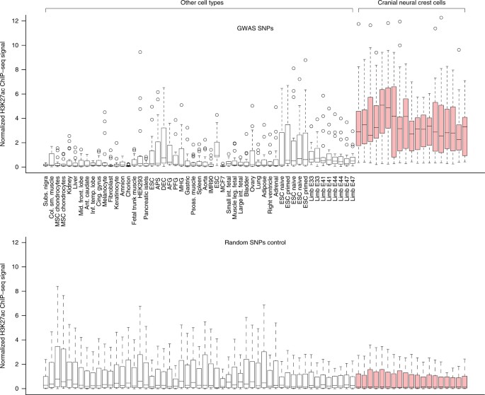 Genome Wide Mapping Of Global To Local Genetic Effects On - 