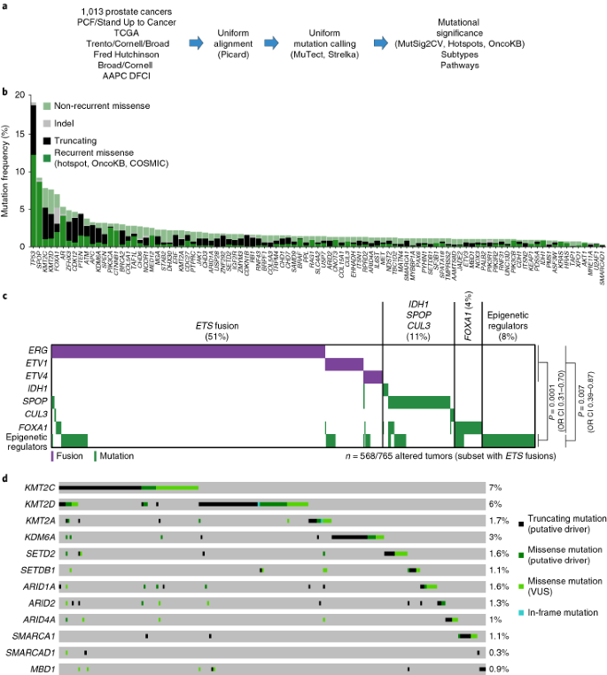 The long tail of oncogenic drivers in prostate cancer | Nature Genetics