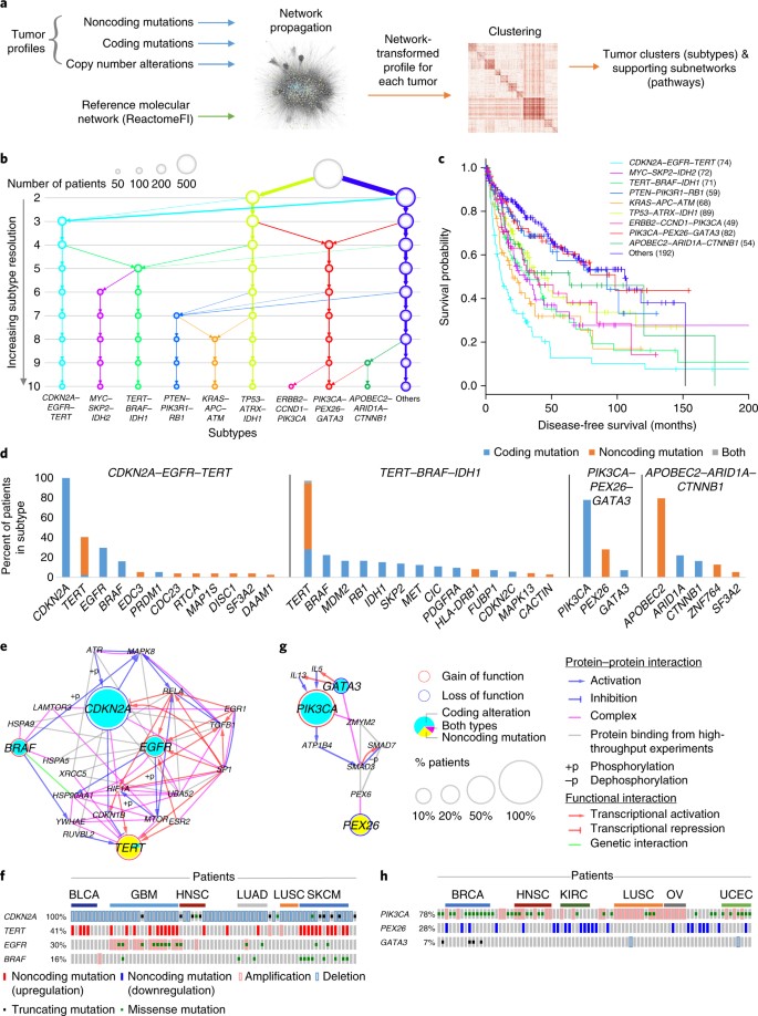 Noncoding Mutations Contribute To >> A Global Transcriptional Network Connecting Noncoding Mutations To Noncoding Mutations Contribute To >> A Global Transcriptional Network Connecting Noncoding Mutations To
