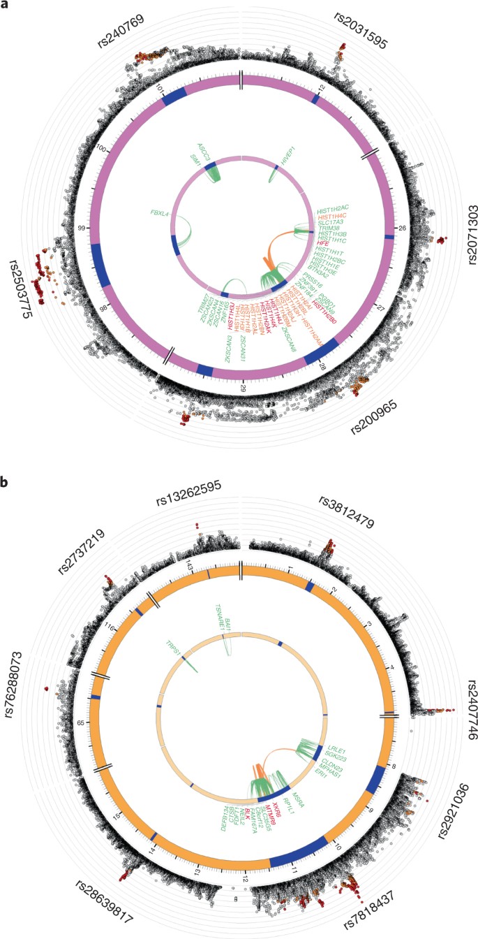 Meta Analysis Of Genome Wide Association Studies For Neuroticism In 449 484 Individuals Identifies Novel Genetic Loci And Pathways Nature Genetics