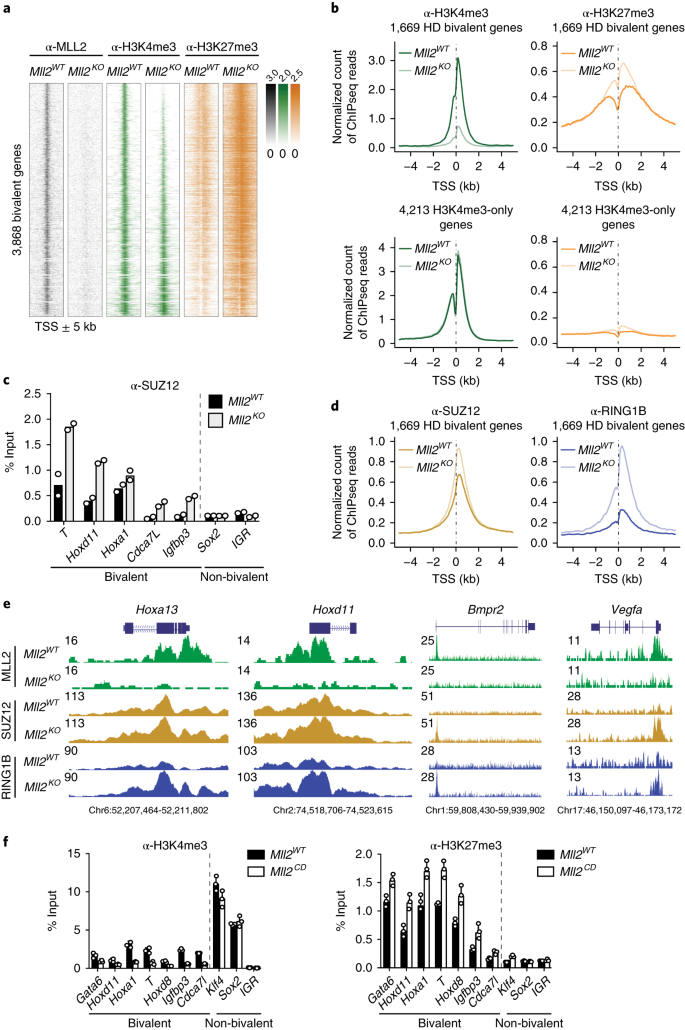 Promoter Bivalency Favors An Open Chromatin Architecture In Embryonic Stem Cells Nature Genetics