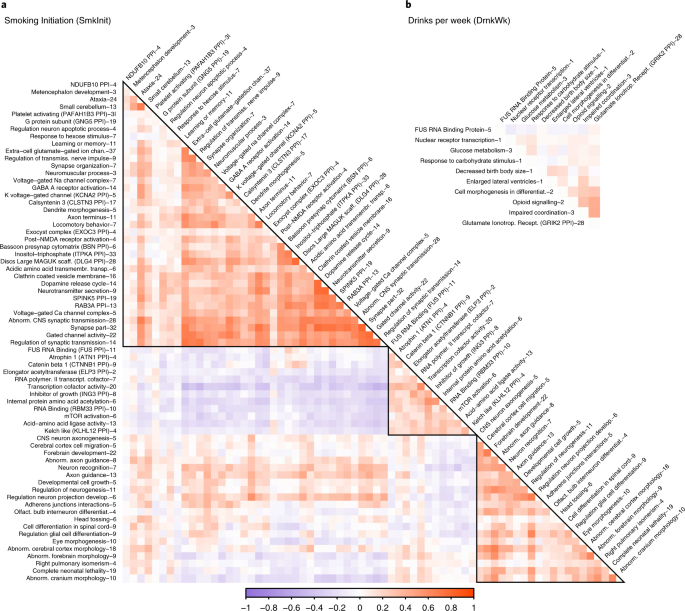 Association studies of up to 1.2 million individuals yield new insights  into the genetic etiology of tobacco and alcohol use