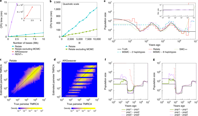 A Method For Genome Wide Genealogy Estimation For Thousands Of Samples Nature Genetics