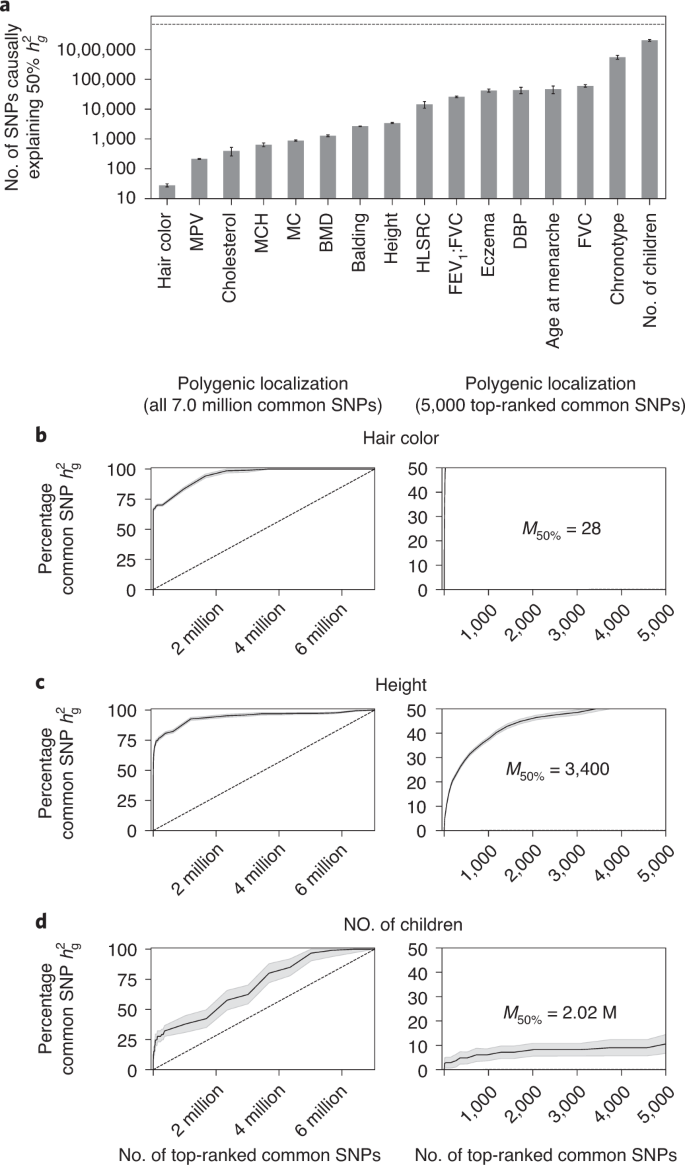 polyfun Functionally informed fine-mapping and polygenic localization of complex trait heritability | Nature Genetics
