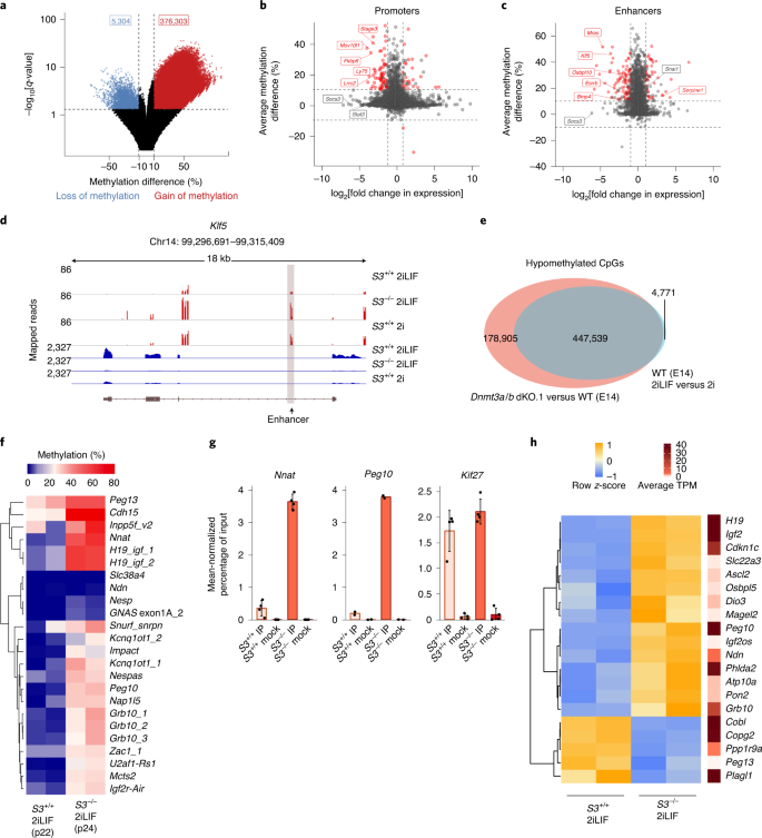 Metabolic Control Of Dna Methylation In Naive Pluripotent Cells Nature Genetics