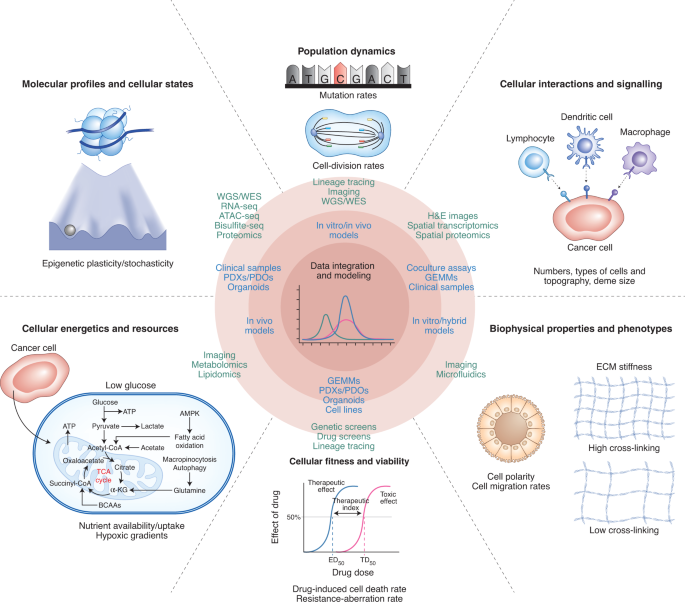 Characterizing the ecological and evolutionary dynamics of cancer | Nature  Genetics