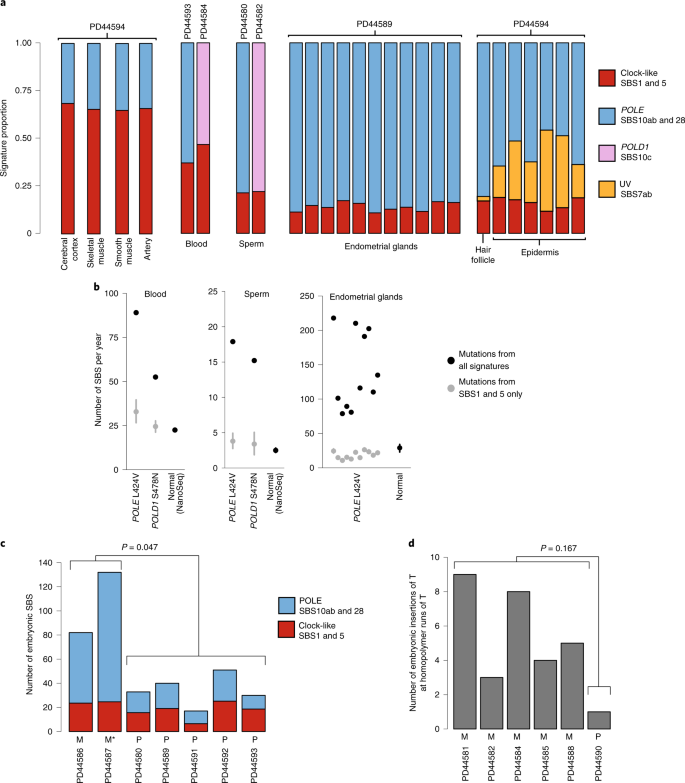 Fig. 3: POLE and POLD1 mutagenesis in other tissues.
