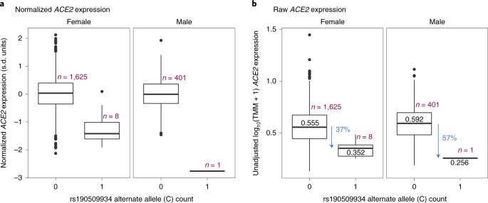 Fig. 3: Association between rs190509934:C and ACE2 expression in liver measured in the GHS study (n = 2,035 individuals).