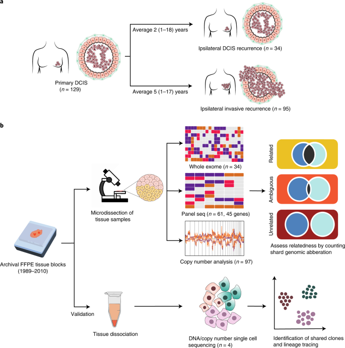 Genomic Ysis Defines Clonal Relationships Of Ductal Carcinoma In Situ And Recur Invasive T Cancer Nature Genetics Recur Invasive T Cancer, Where Is The Basement Light In Break Roblox Id