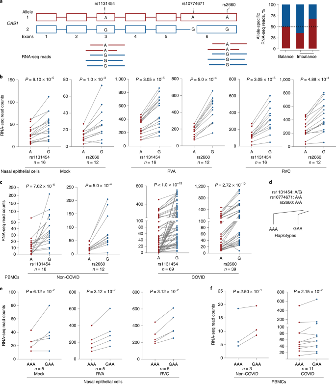 Fig. 3: Allelic expression imbalance of OAS1 transcripts.
