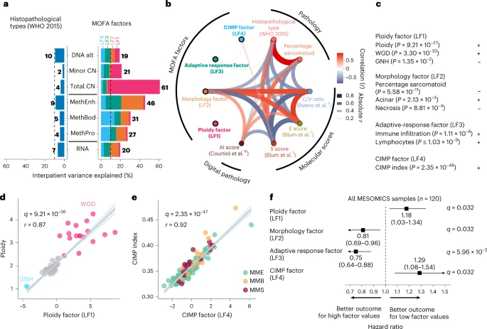 Reference: Lise Mangiante et al, Nature genetics, 2023