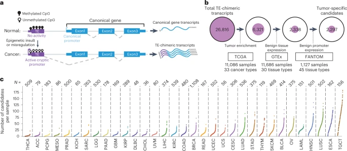 Pan-cancer analysis identifies tumor-specific antigens derived from transposable elements