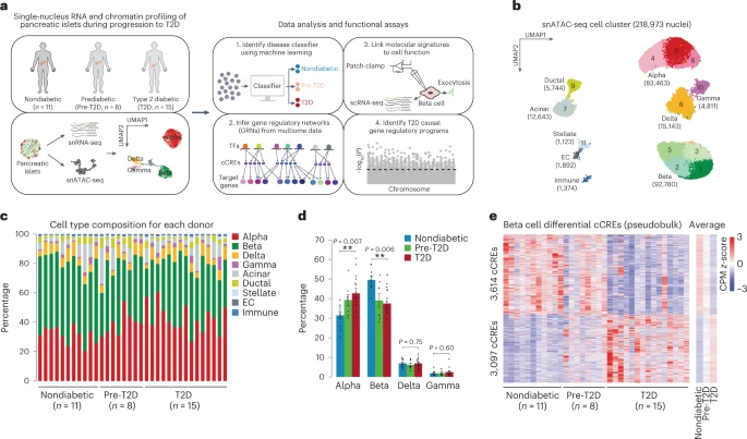 Integrating genetics with single-cell multiomic measurements across disease states identifies mechanisms of beta cell dysfunction in type 2 diabetes